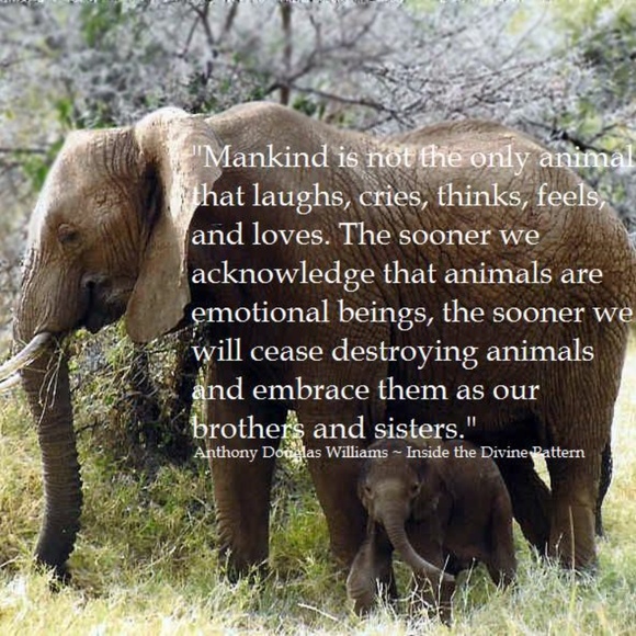 Meet your Posher, Evelyn - Picture 4 of 8